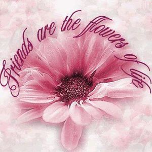 Meet your Posher, Kay